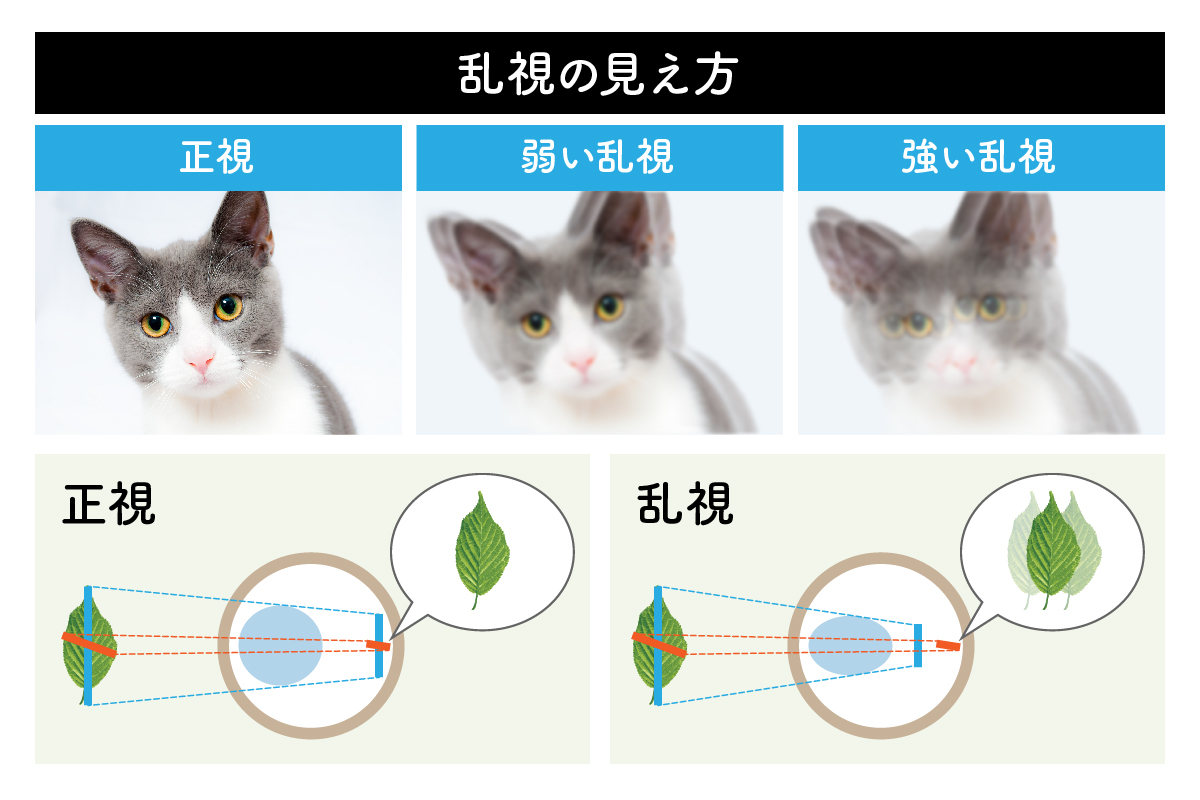 乱視を見るハンカチ-